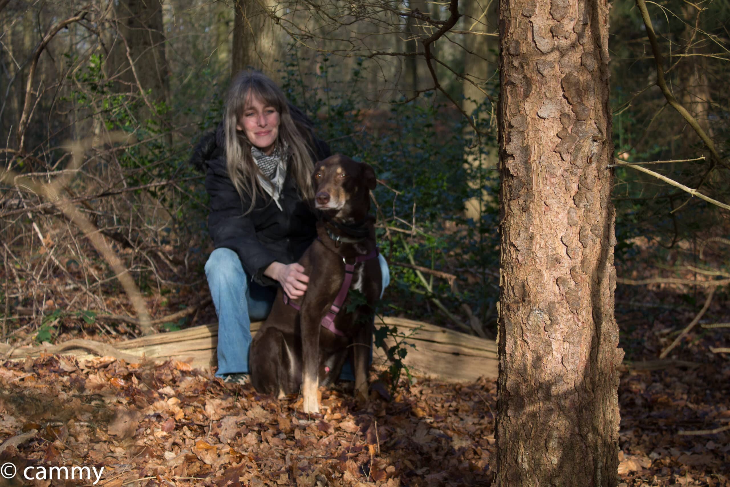 IMG_6850 massage hond