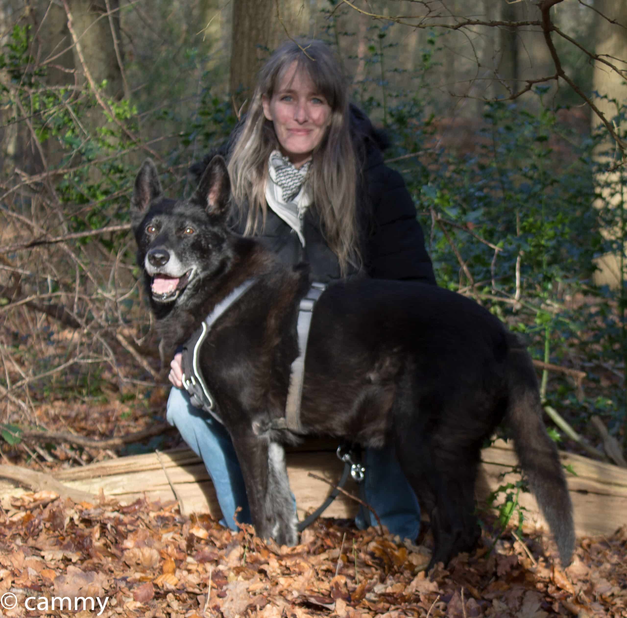 oude hond nog fit en gezond