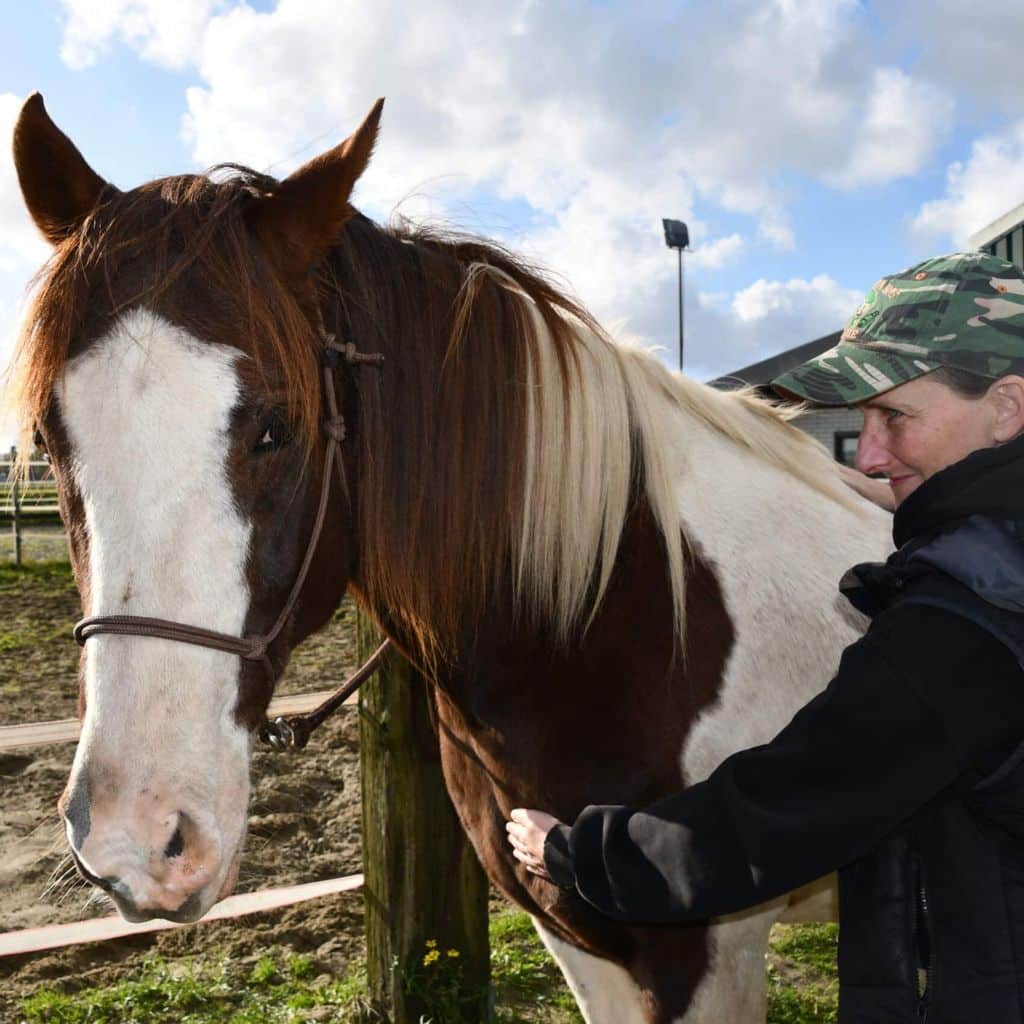 paard gezond met cranio sacraal