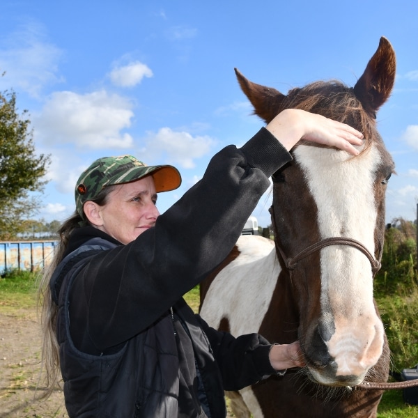 hero image cranio sacraal voor paarden