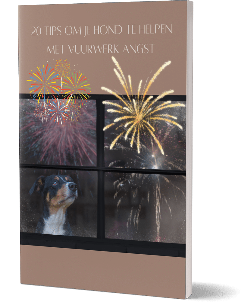 ebook help je hond bij vuurwerk angst