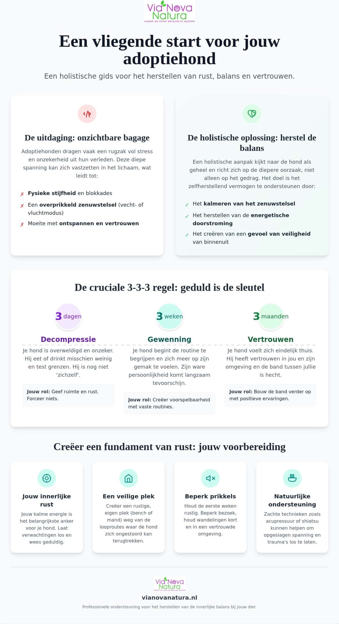 Adoptiehonden: Holistische tips voor rust en vertrouwen