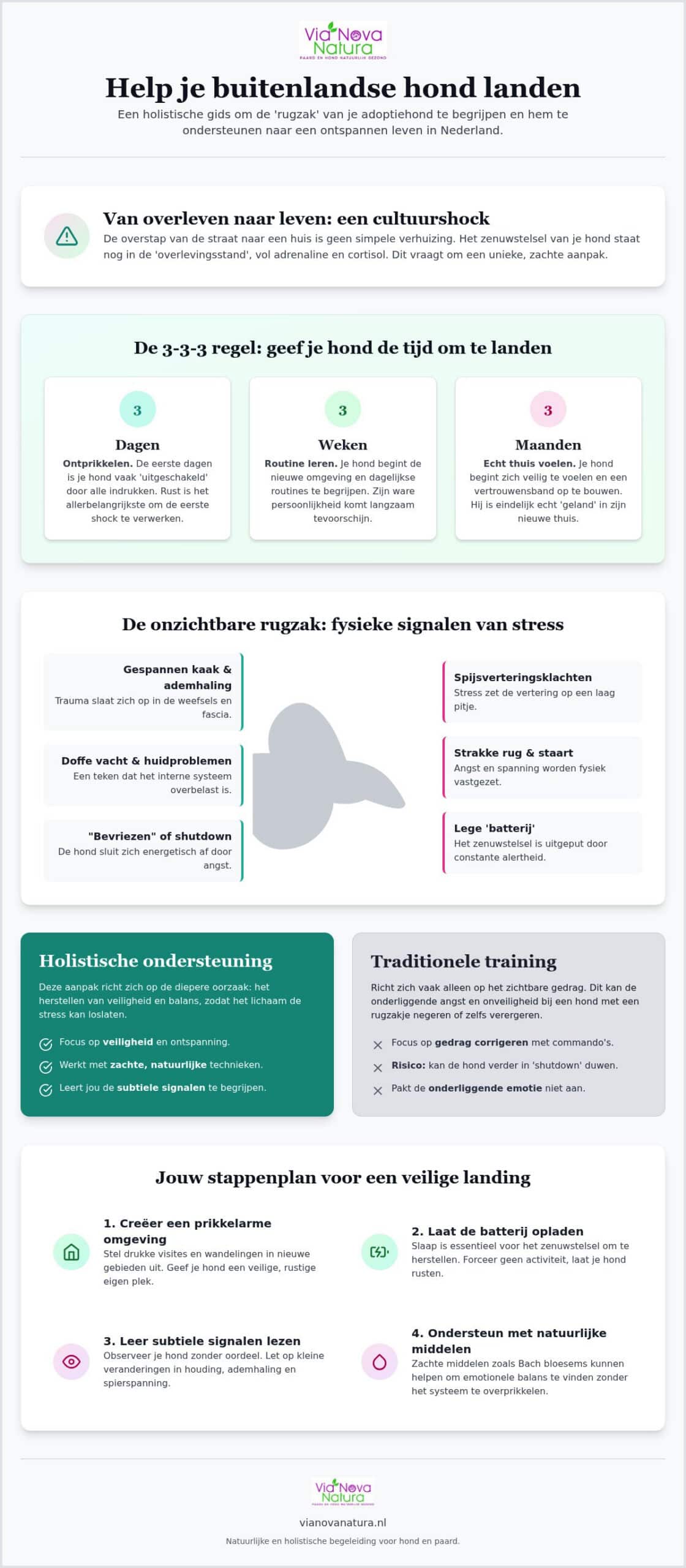 Buitenlandse honden: Tips voor minder stress en welzijn