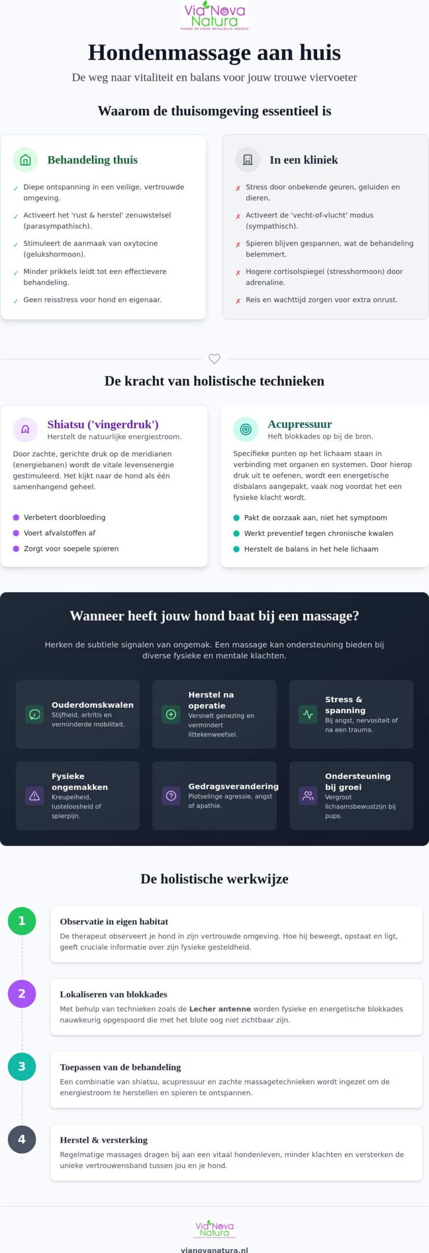 Hondenmassage aan huis: de weg naar een ontspannen en vitaal hondenleven