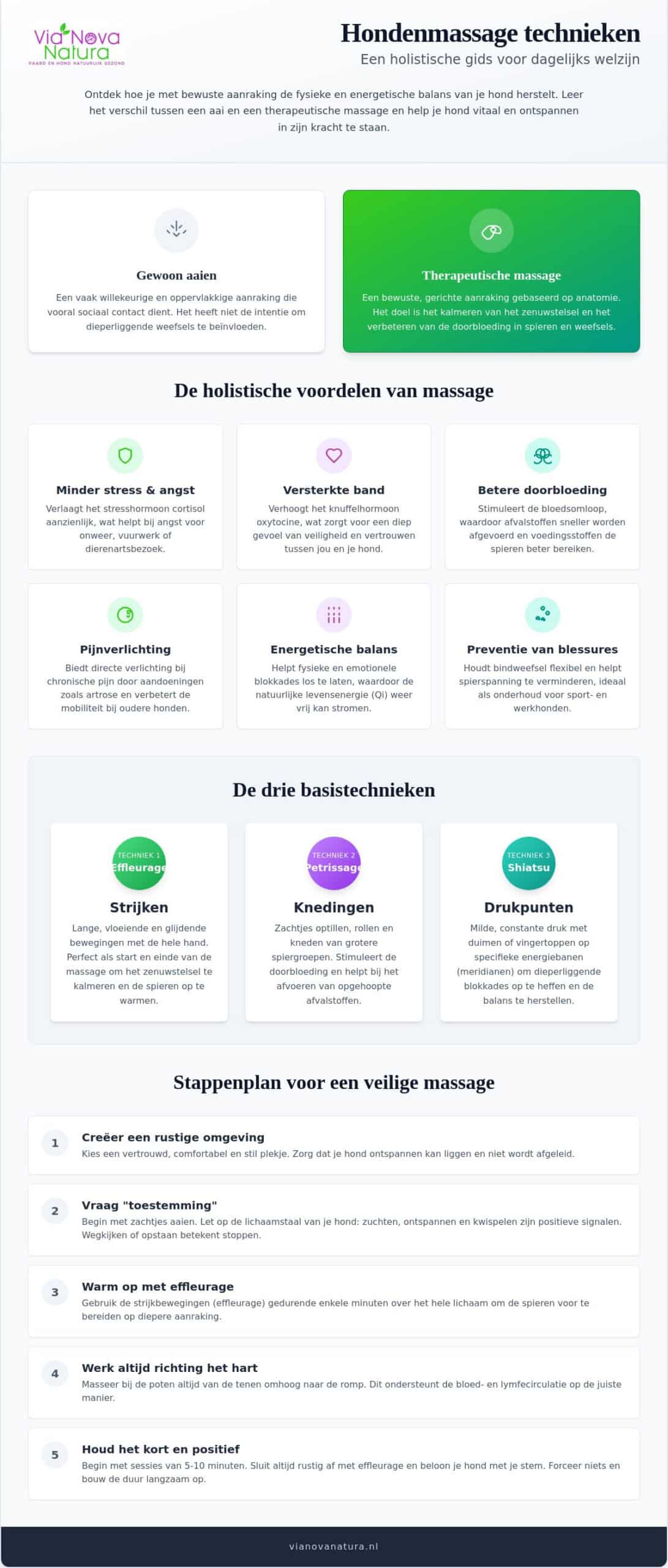Hondenmassage technieken voor een gezonde en ontspannen hond in 2026