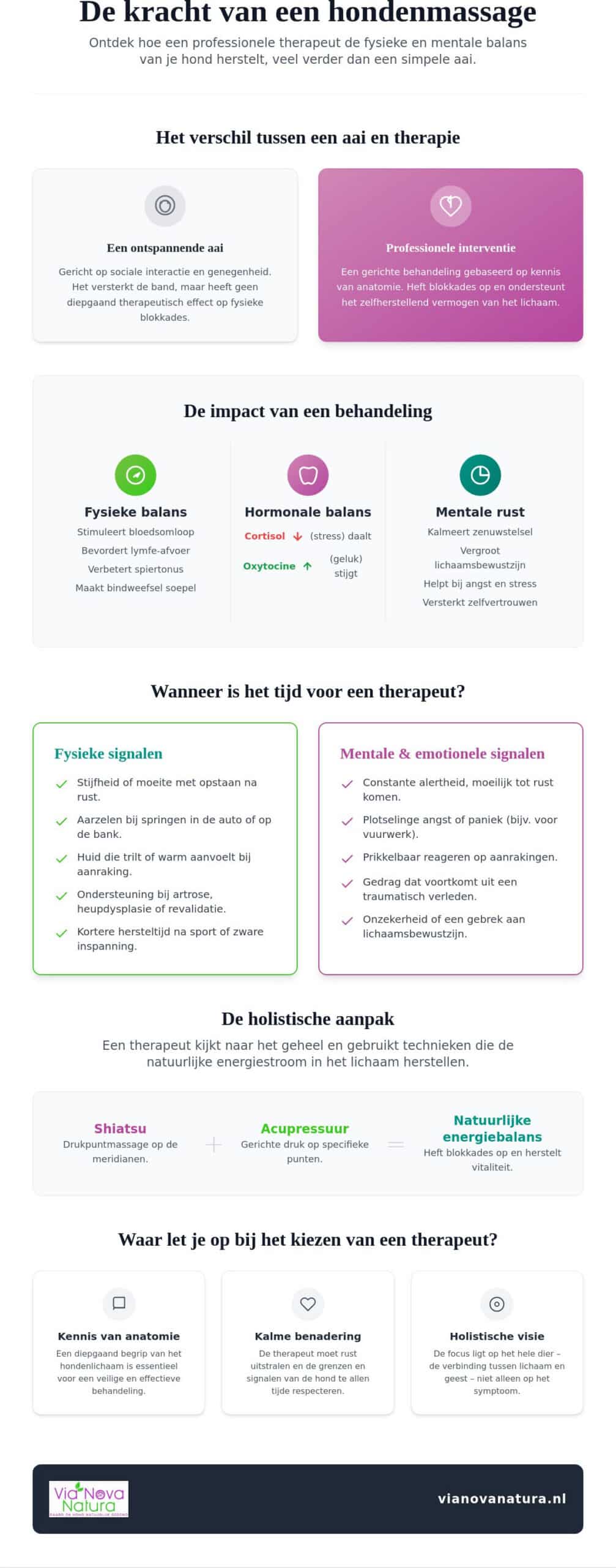 Hondenmassage therapeut: de gids voor een ontspannen en vitaal hondenleven