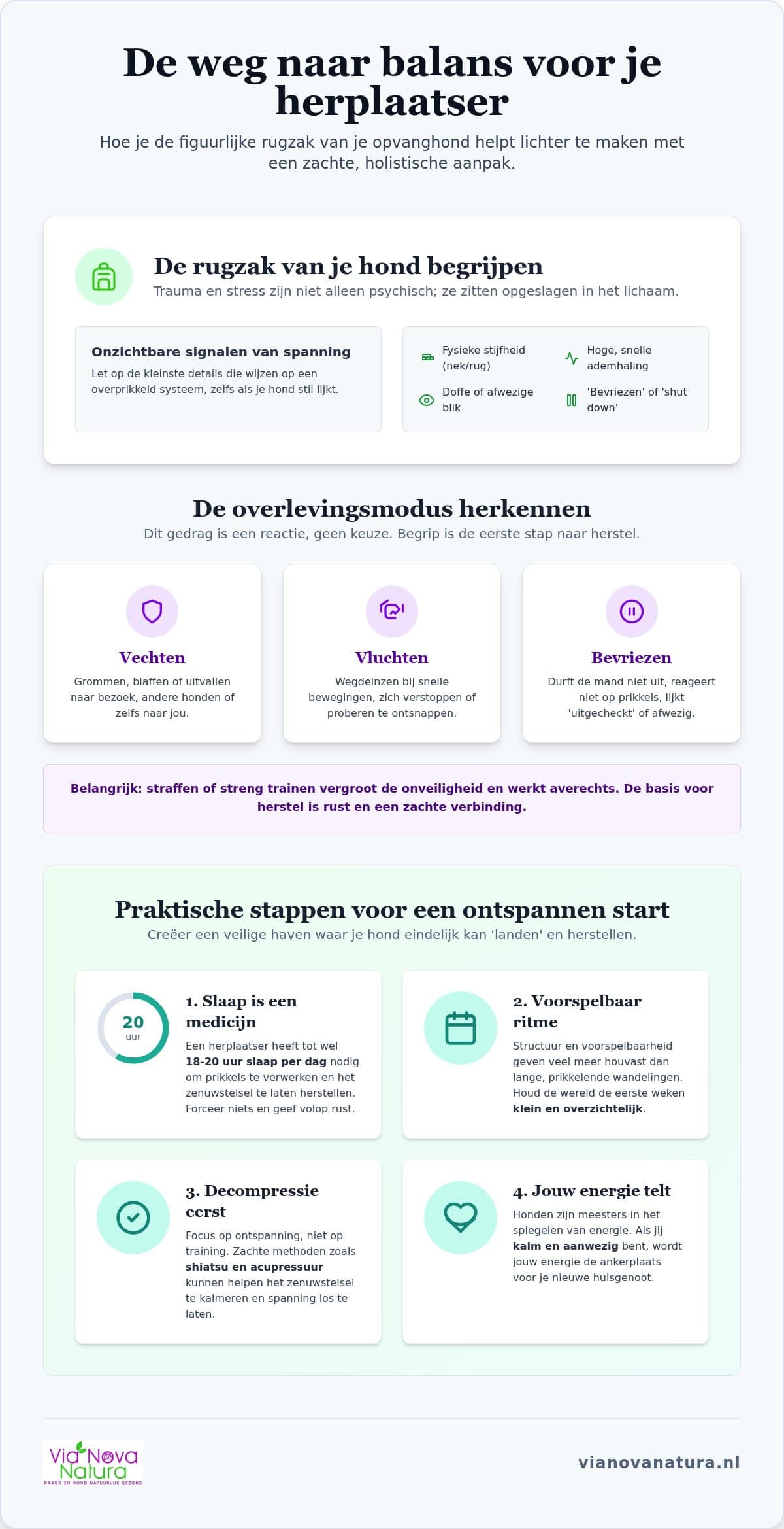 Opvanghonden: Tips voor rust en een succesvolle start