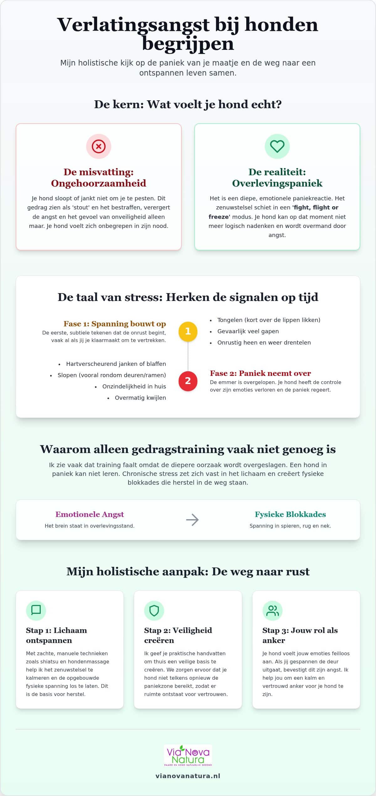 Verlatingsangst bij honden: Tips voor meer rust en balans