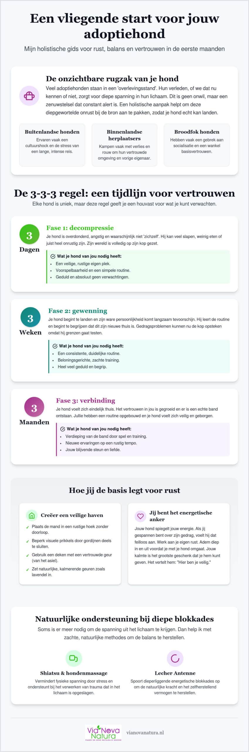 Adoptiehonden: Holistische tips voor rust en vertrouwen