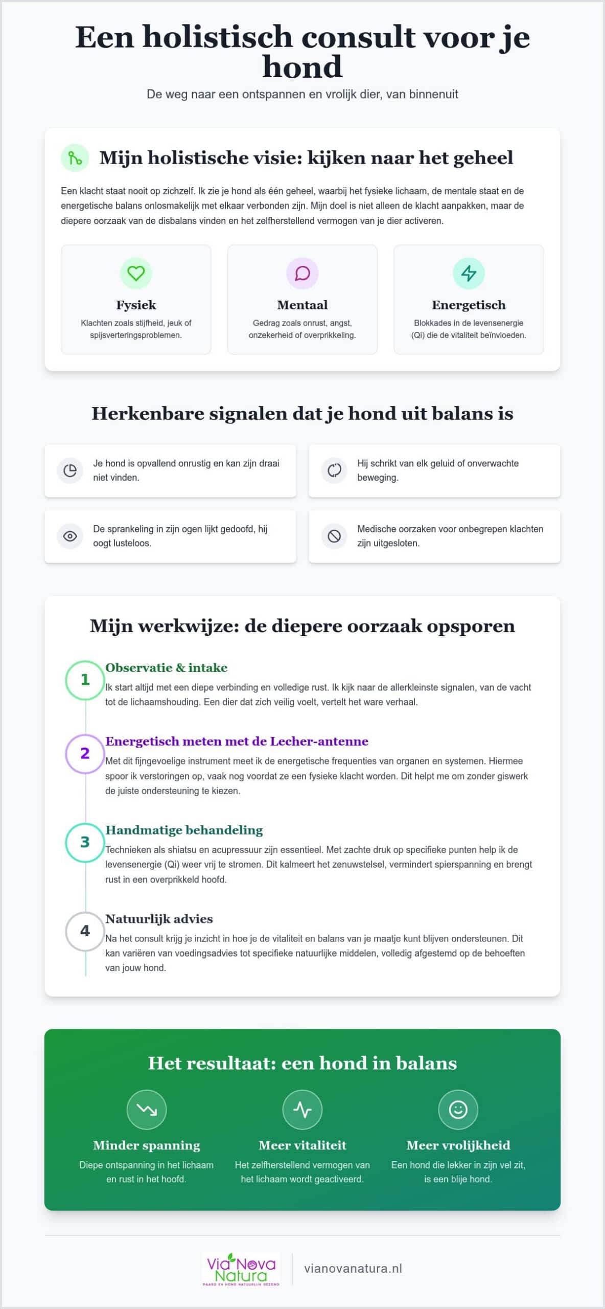 Holistisch consult voor je hond: een weg naar natuurlijke balans en gezondheid