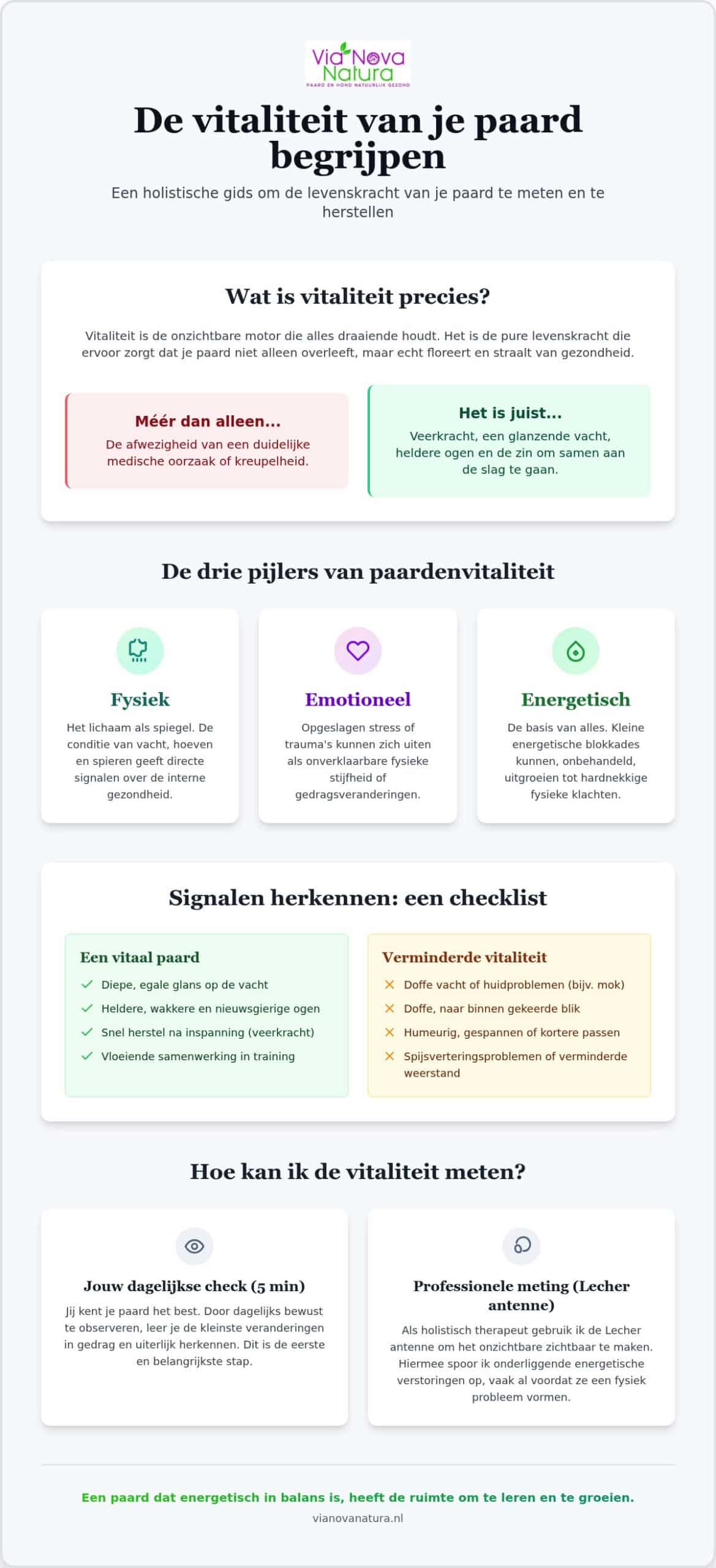 Paard vitaliteit meten: hoe je de gezondheid en balans van je paard echt begrijpt