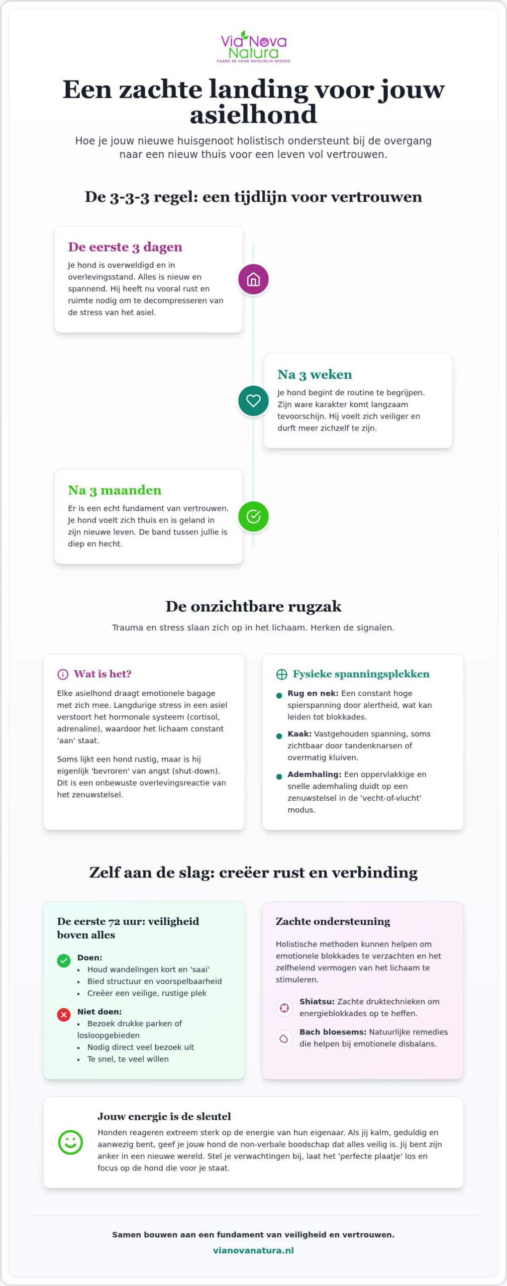 Asielhond adopteren: Tips voor een ontspannen nieuwe start