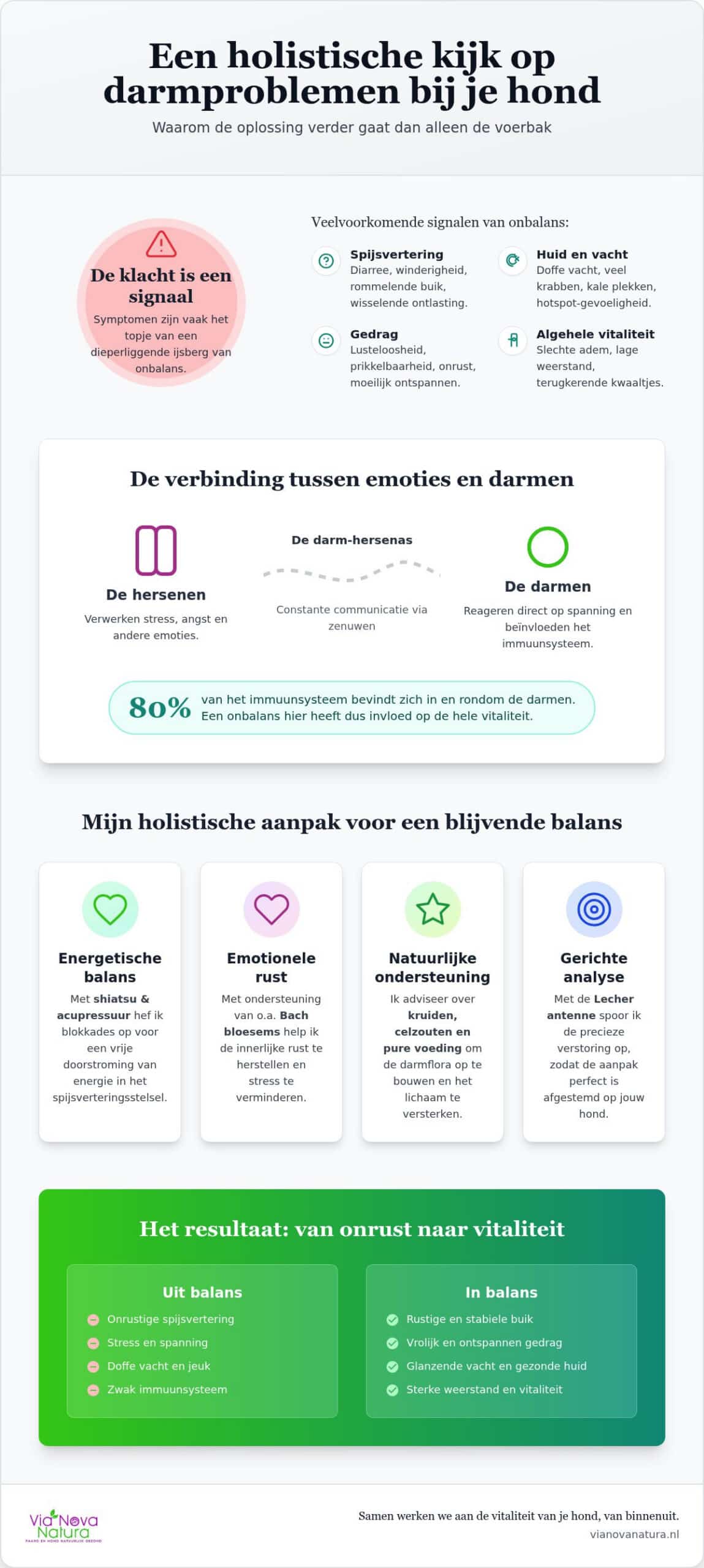 Darmproblemen bij je hond: een natuurlijke aanpak voor meer balans