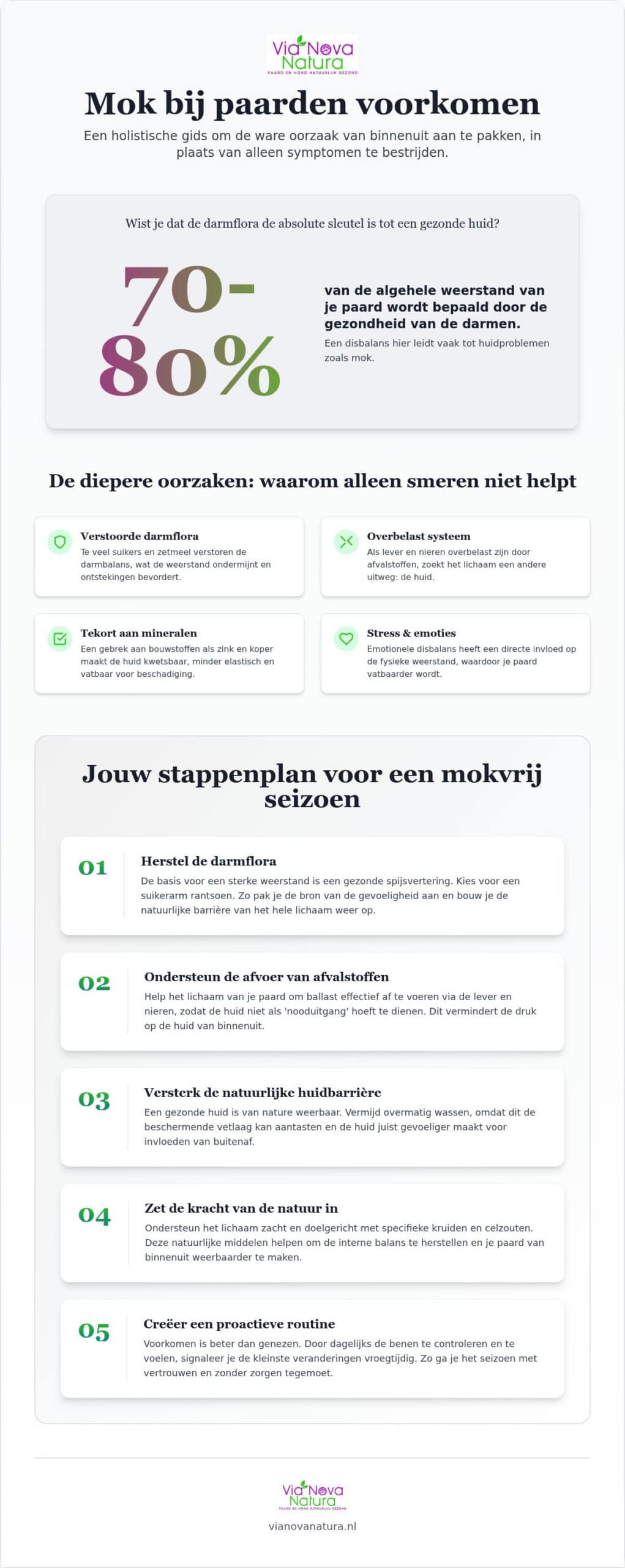 Mok bij paarden voorkomen: 5 praktische tips